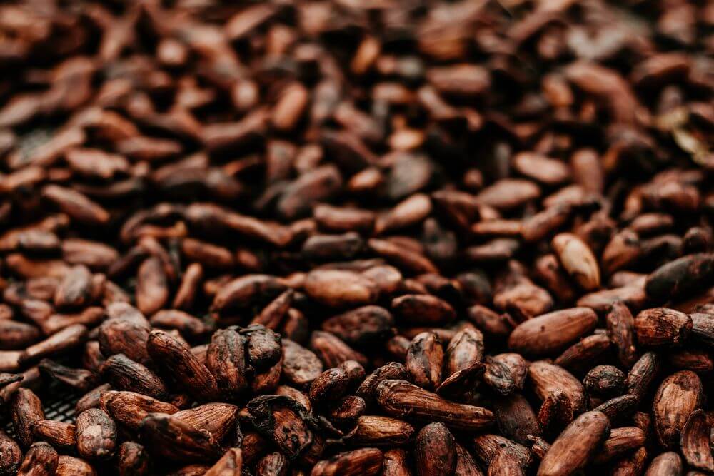 Cocoa's Importance in Everyday Food Products
